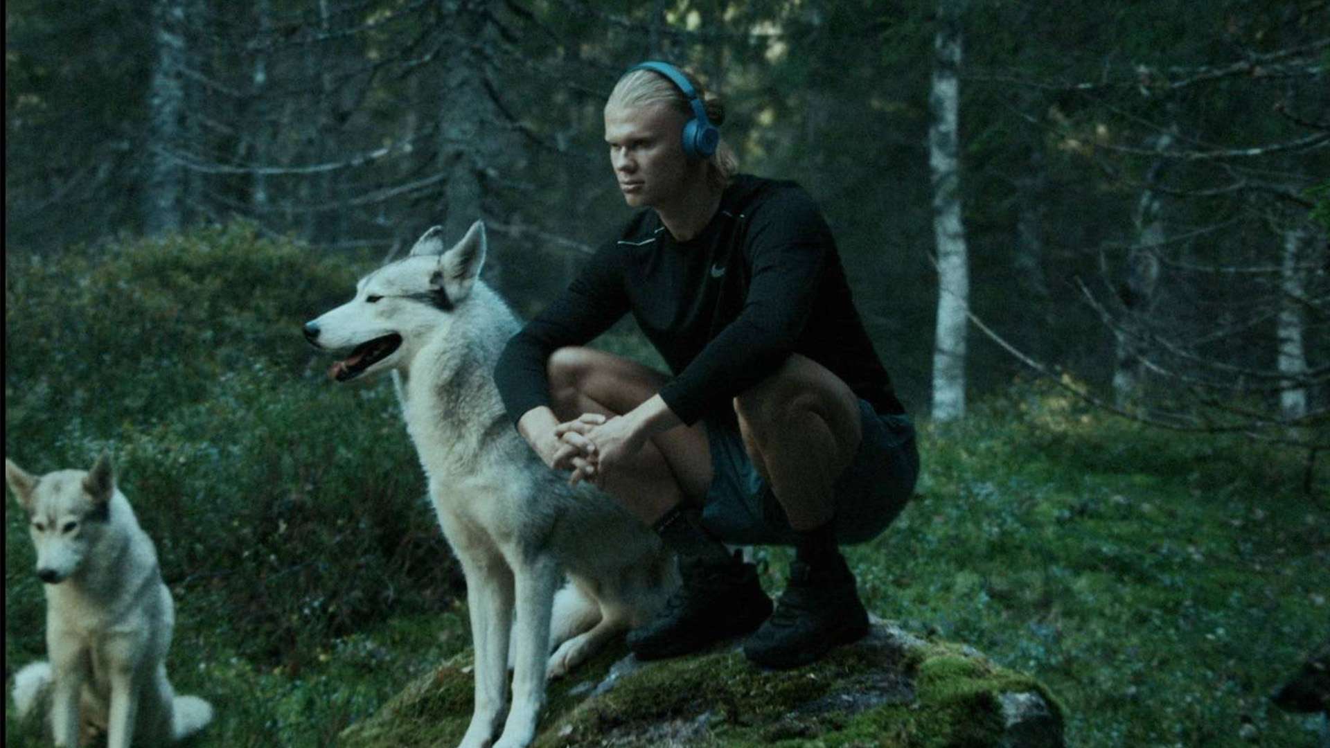 讨论她们如 讨论她们如